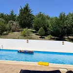 Seeconero Ancona