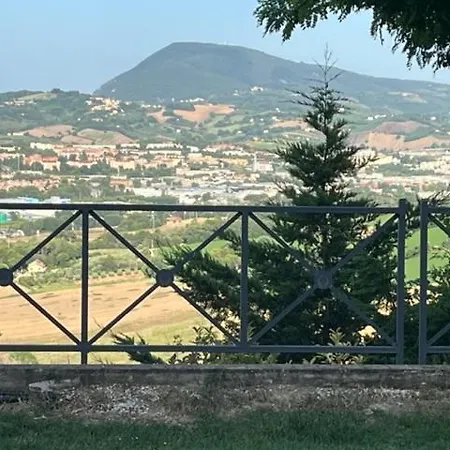 Seeconero Ancona